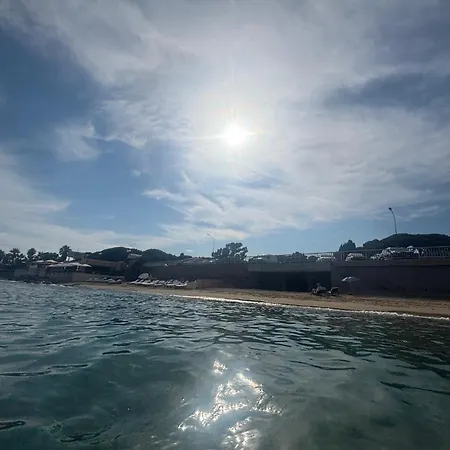 Majorelle * Σαιντ-Μαξίμ