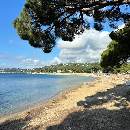 Majorelle Διαμέρισμα *